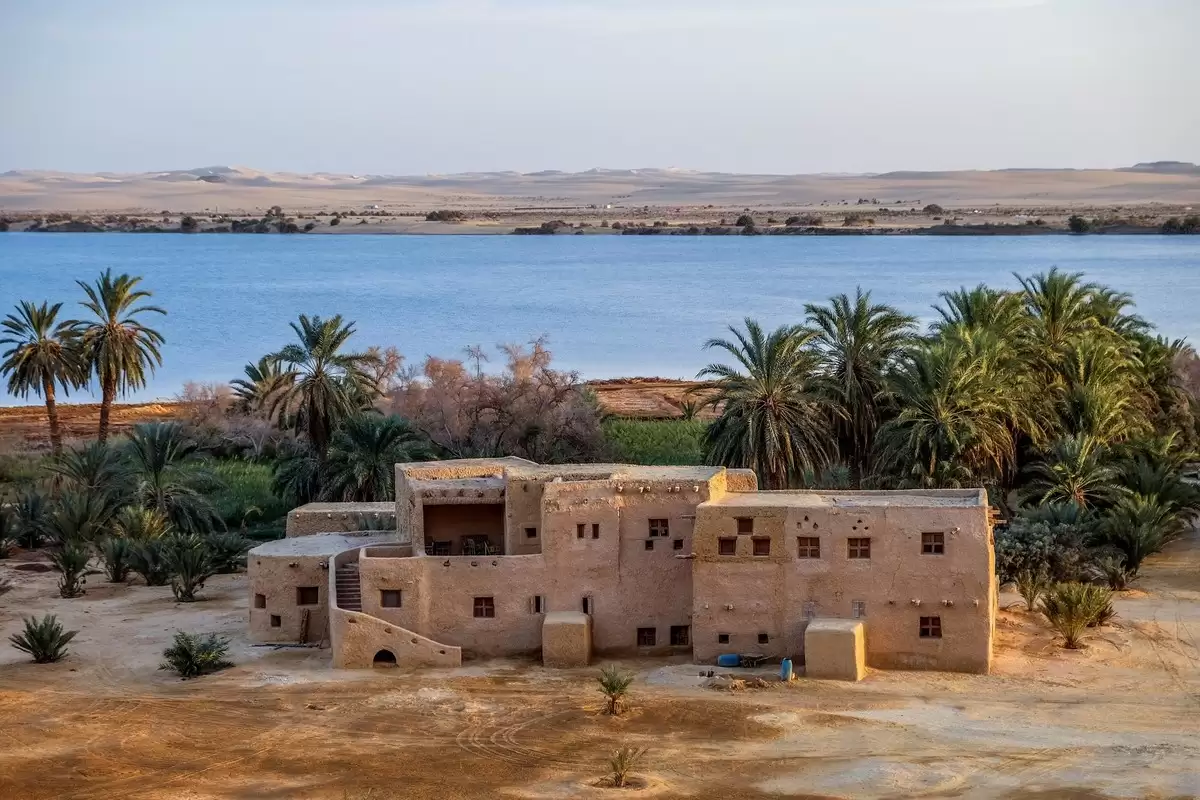 Siwa overnight from Alexandria